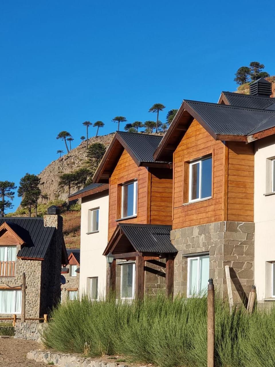 Villa Maihue Departamentos De Montana - 카비아우에 외부 사진